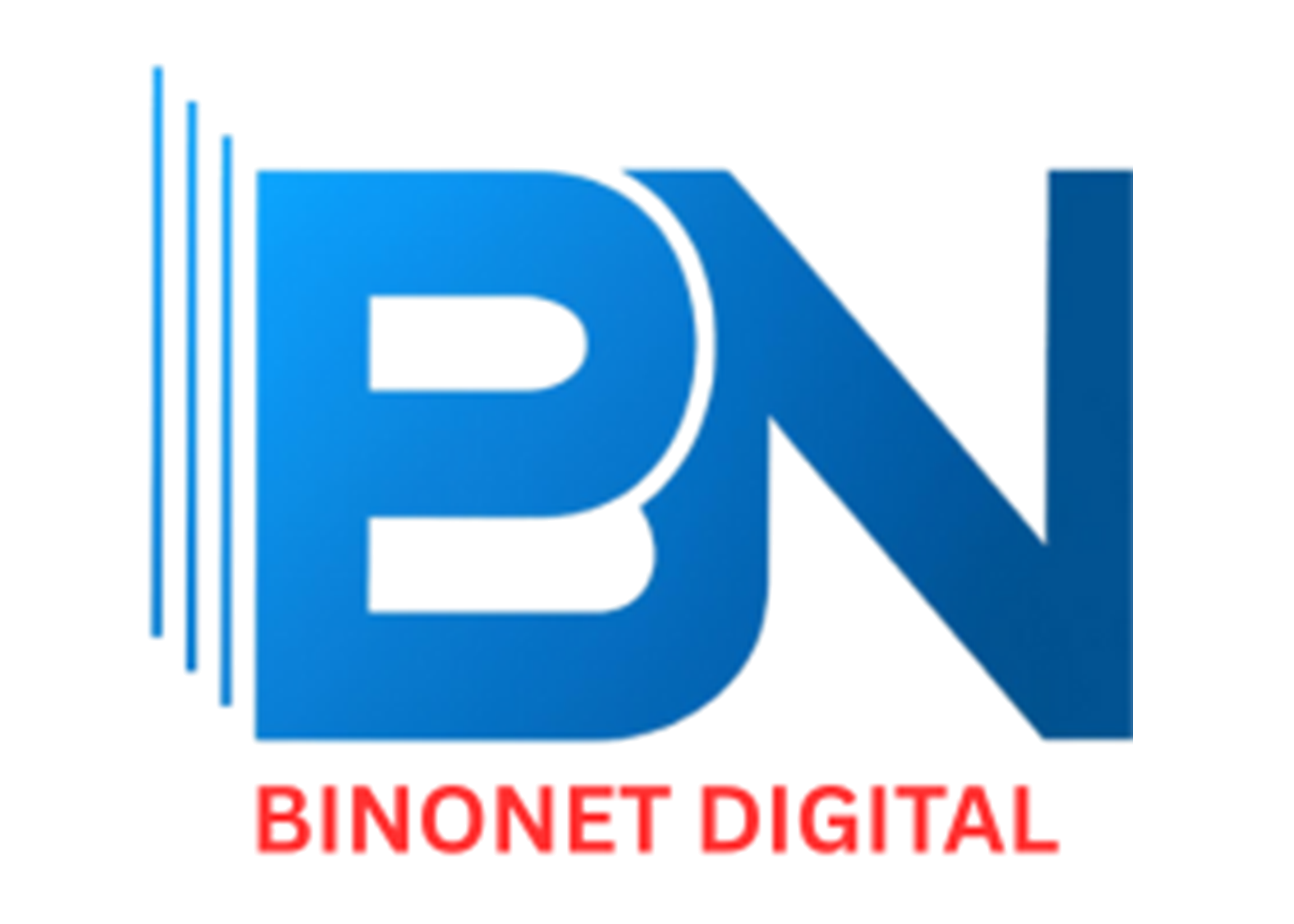 binonet digital logo